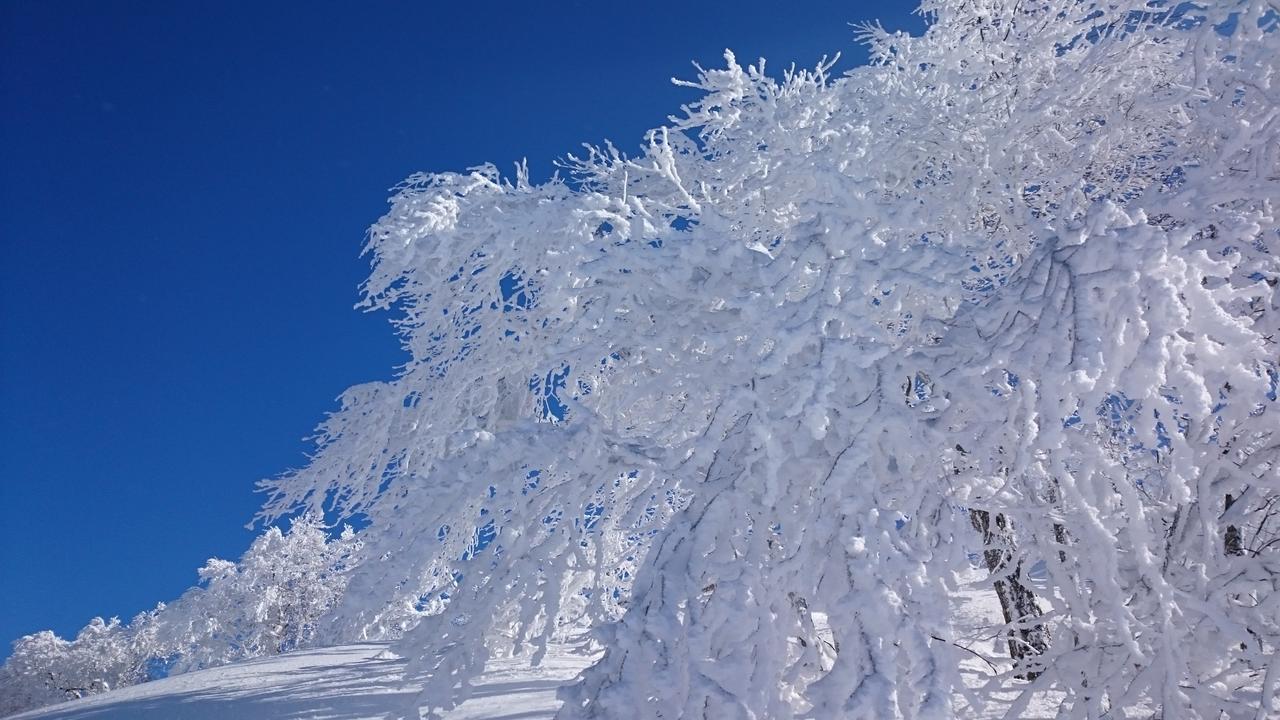 Nozawa Dream Hotel Kültér fotó