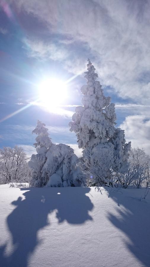 Nozawa Dream Hotel Kültér fotó